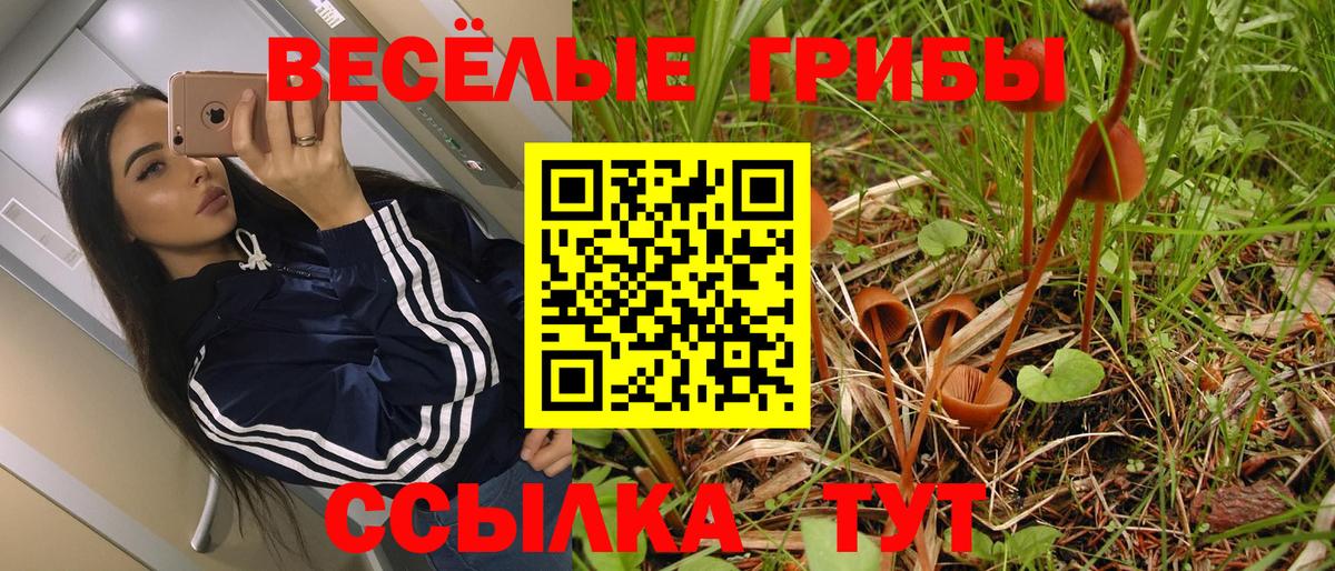 Галлюциногенные грибы мухоморы Шелехов