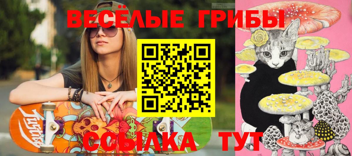 Шелехов  Псилоцибиновые грибы мухоморы  Псилоцибиновые грибы мицелий  Вход с VPN 